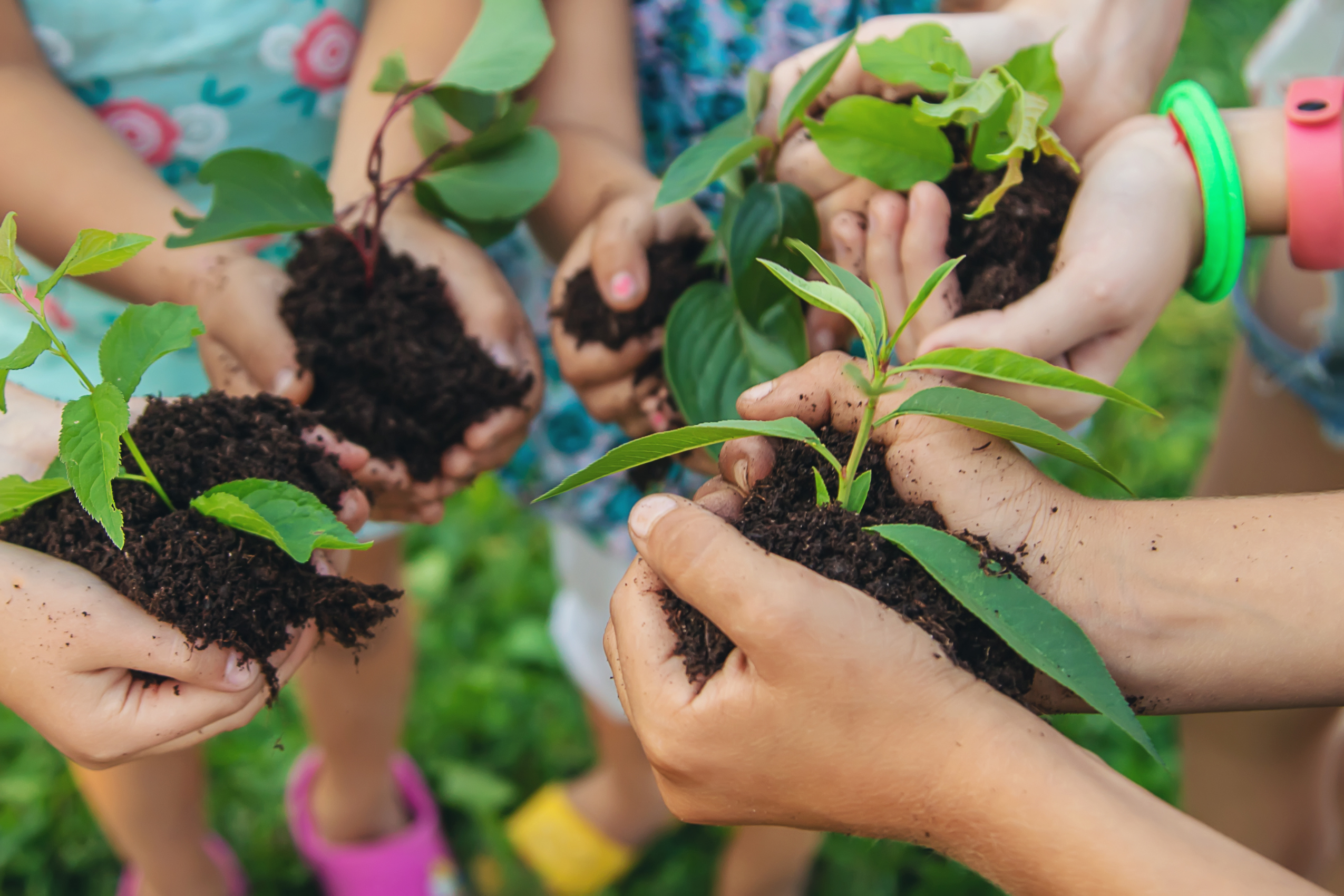 Summer Camp Discovery