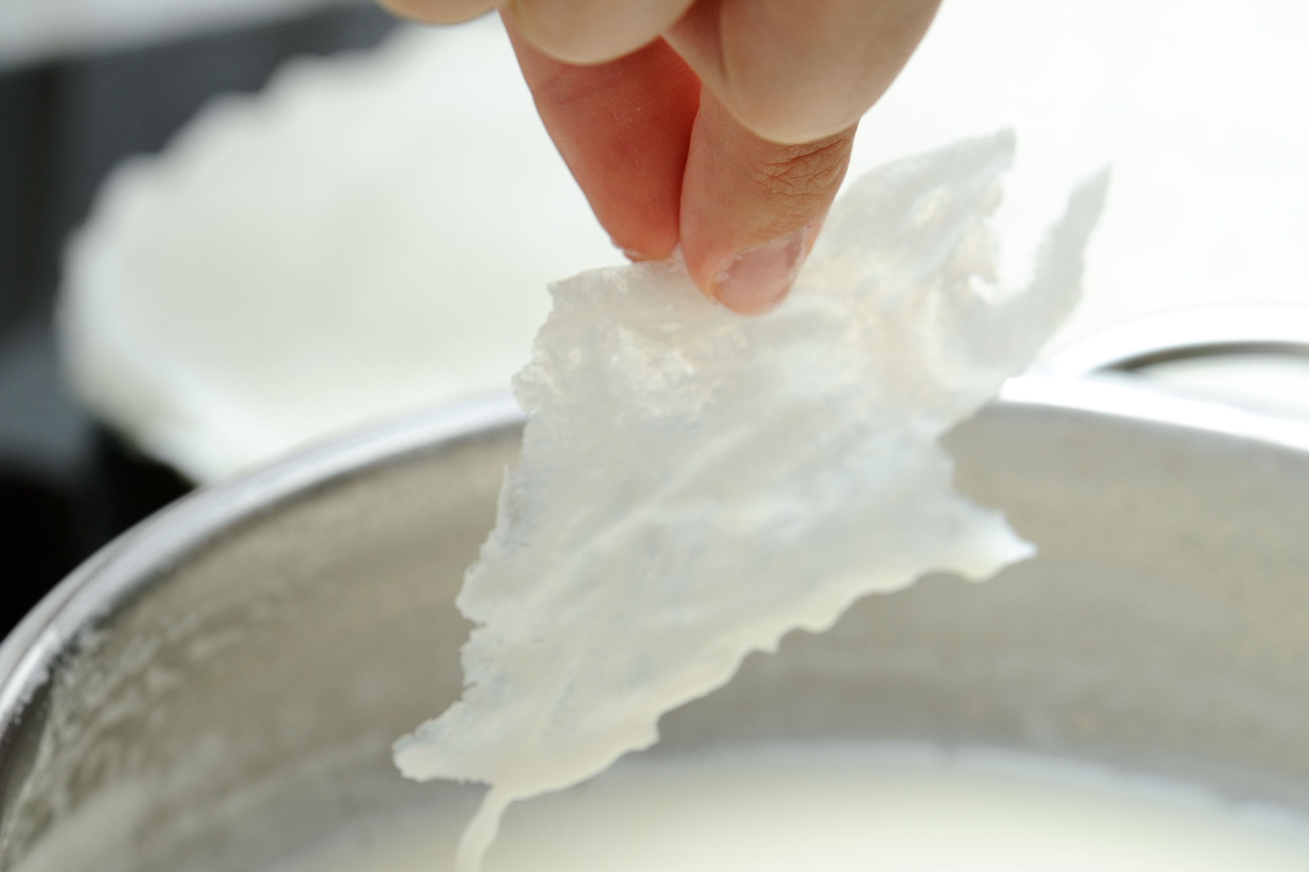 Creativity with Paper Mache