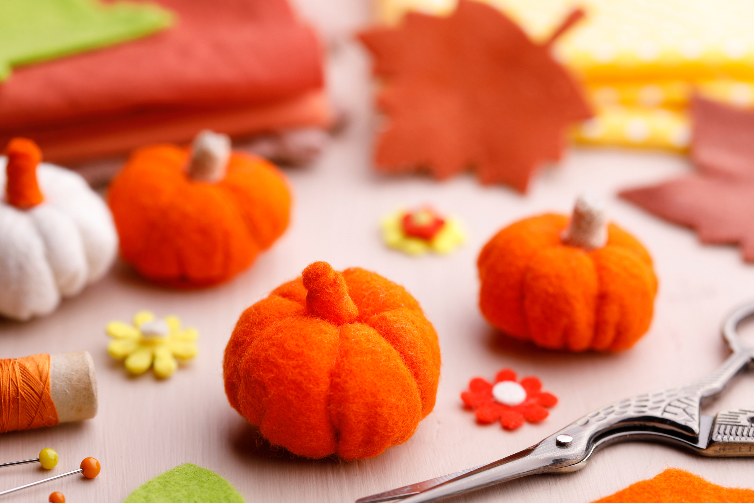 Needle Felting Workshop