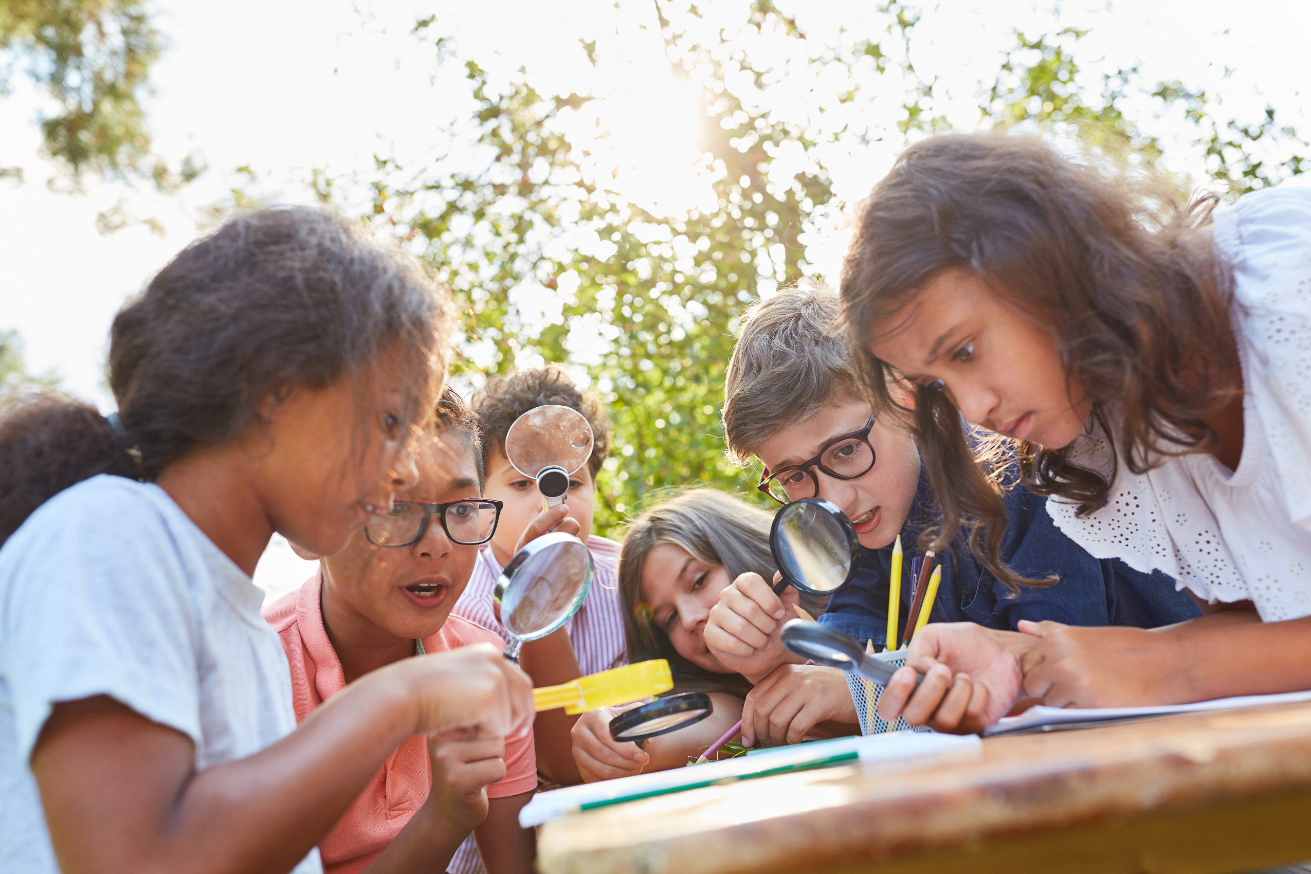 Closed – Thursday Homeschooling Journey! 🐝