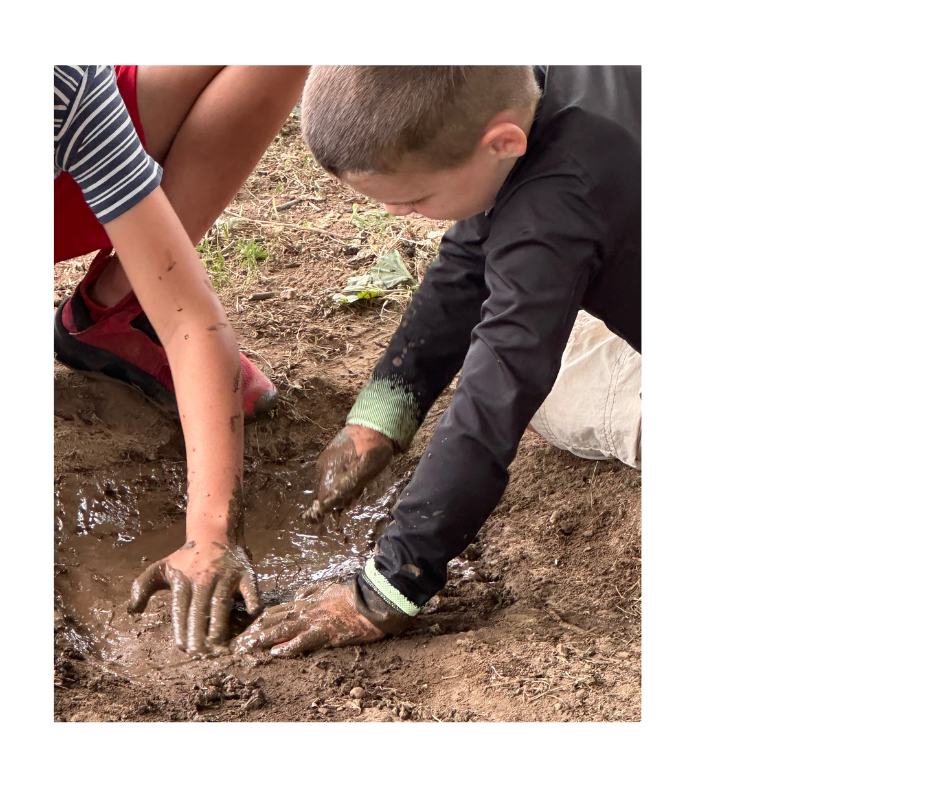 Little Explorers Summer Camp at Hidden Bee Farm
