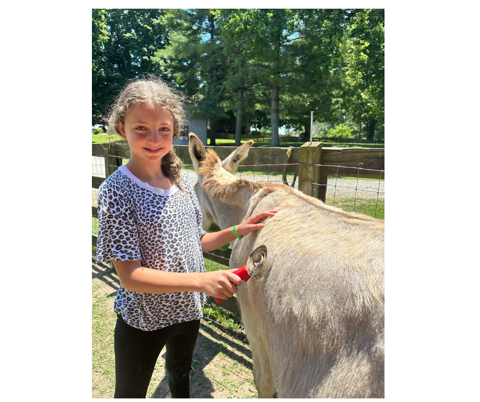 Trailblazers Summer Camp at Hidden Bee Farm
