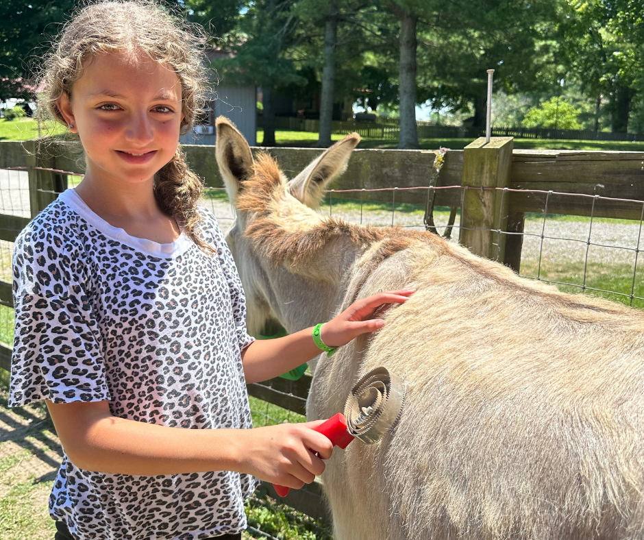 Trailblazers Summer Camp at Hidden Bee Farm