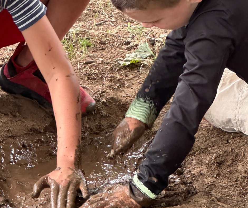 Little Explorers Summer Camp at Hidden Bee Farm