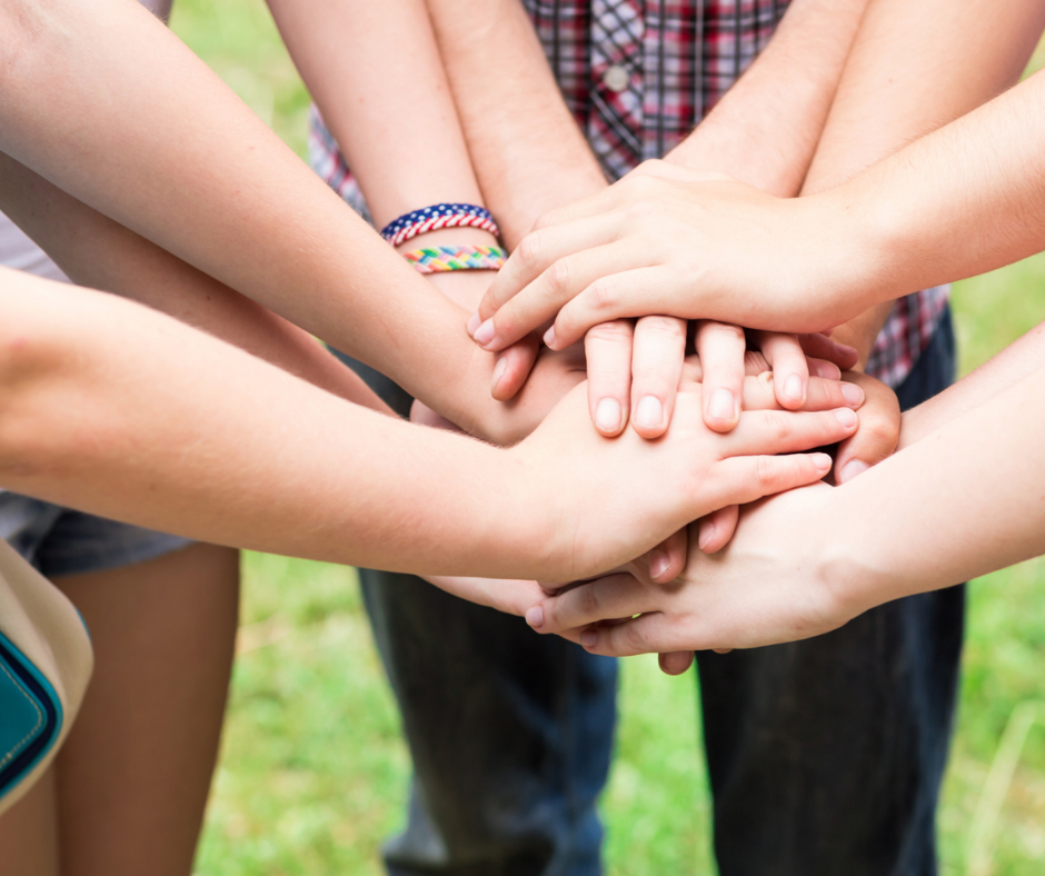 Pioneers Advanced Farm and Skills Program at Hidden Bee Farm
